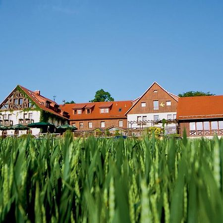 Klingenberg Hotel Neue Hoehe מראה חיצוני תמונה