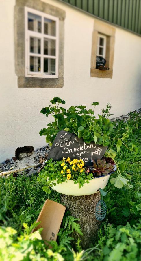 Klingenberg Hotel Neue Hoehe מראה חיצוני תמונה