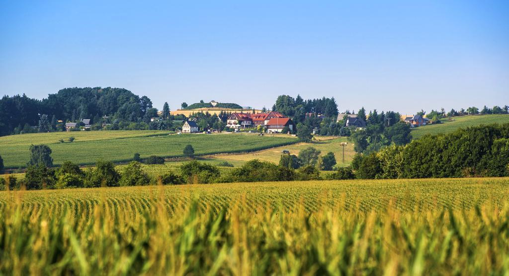 Klingenberg Hotel Neue Hoehe מראה חיצוני תמונה