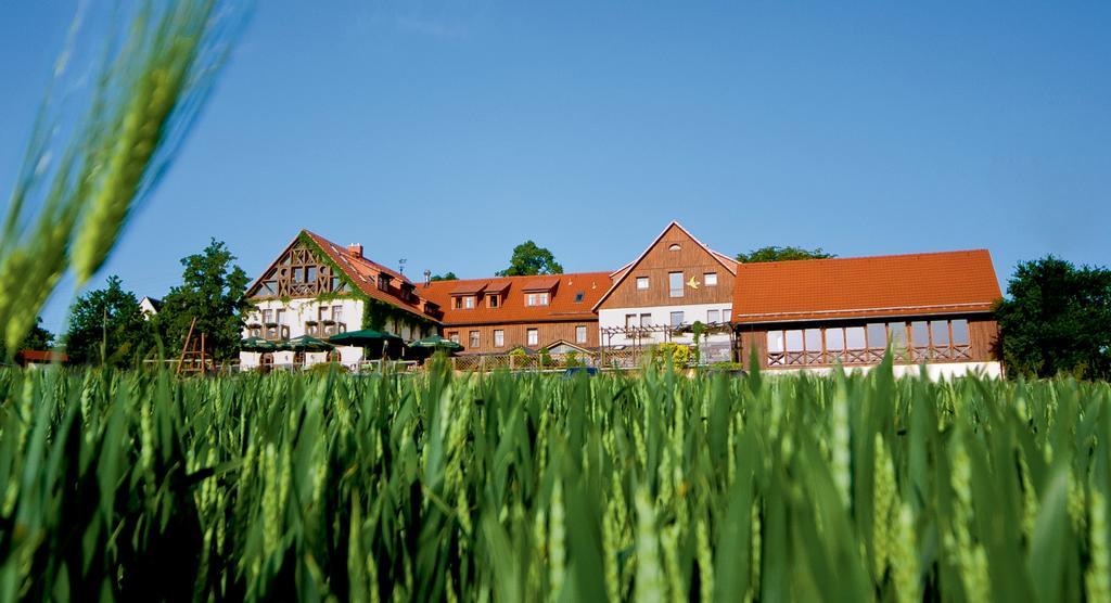 Klingenberg Hotel Neue Hoehe מראה חיצוני תמונה